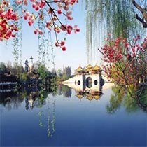 李星晨