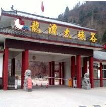 李佳佳