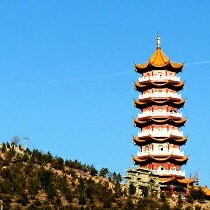 高宇