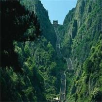 李伟志