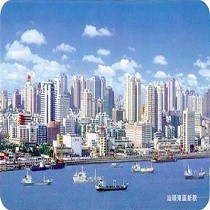 谢佳丽