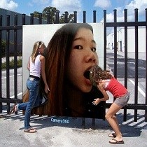 陈晶
