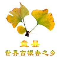 陈文