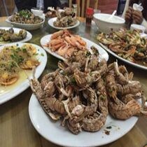陈淑婷