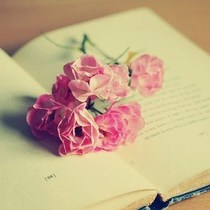 赵小芳