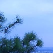 蓝彩玲