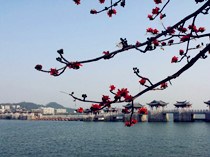 蔡晓萍