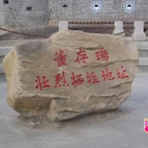 王嘉冰