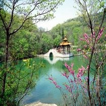 伍慧雯