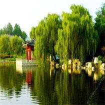 孙艺芯