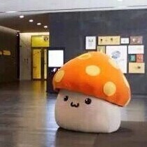 谭博