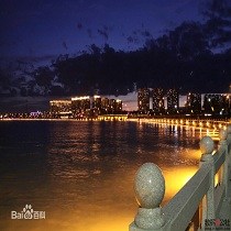 楚中新