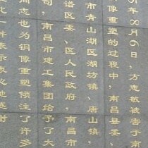 陈苑