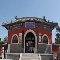 赵祎