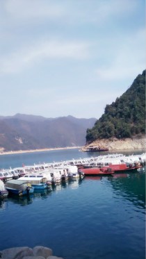 郭婷