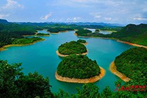 林孝红