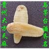 贵州大方天麻