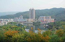 杨冰冰