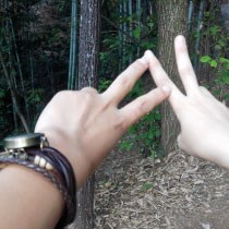 dhe06