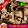 椴木香菇