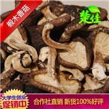 椴木香菇