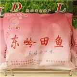 新化东岭田鱼