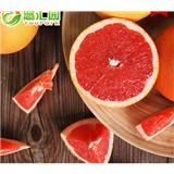 南非红心西柚6颗 葡萄柚 新鲜水果 柚子 酸爽味苦回甘