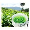 天堂云雾茶