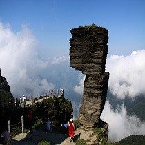 蒋旭锐